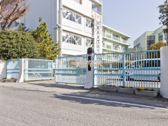 ���ӊ��@-